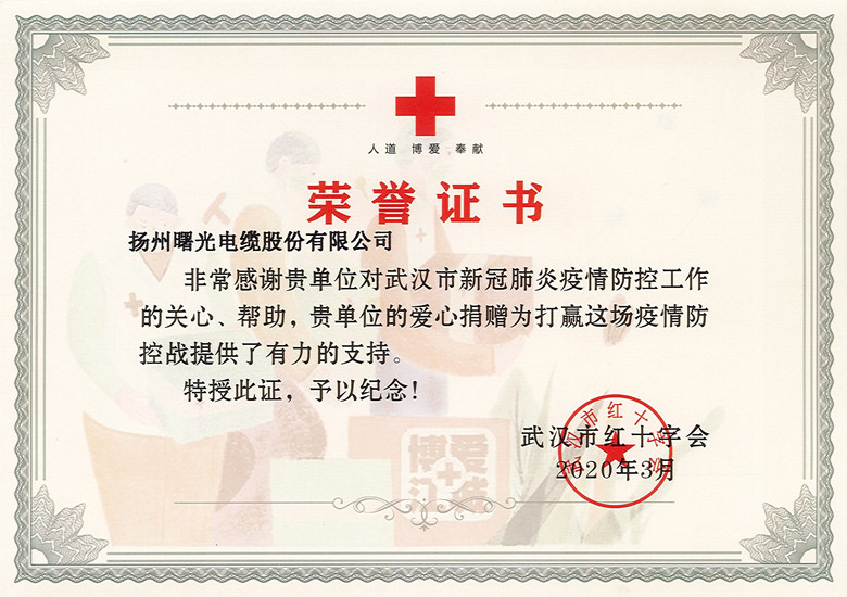 20200504090157278 PP电子(中国)有限公司官网